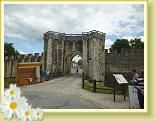 Provins_Visite (19)